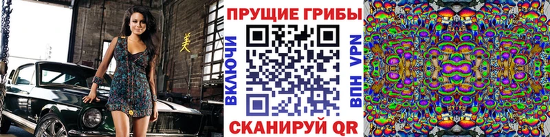 купить закладку  omg рабочий сайт  Псилоцибиновые грибы Psilocybine cubensis  Гурьевск 